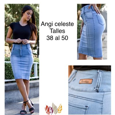 Pollera ANGI celeste