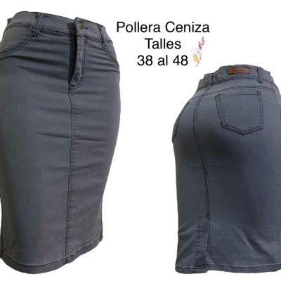 Pollera CENIZA